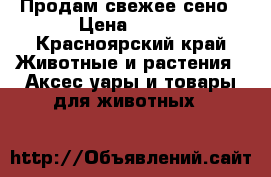 Продам свежее сено › Цена ­ 900 - Красноярский край Животные и растения » Аксесcуары и товары для животных   